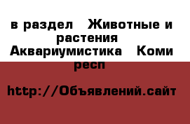  в раздел : Животные и растения » Аквариумистика . Коми респ.